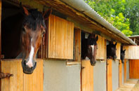 free Tom An Fhuadain stable construction quotes